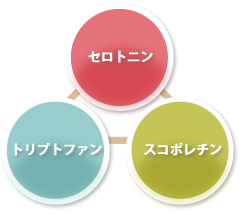 不眠 寝つきが悪い
